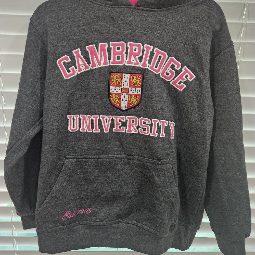Cambridge University Gray Hoodie, Warm, Size M, Official Merchandise - Picture 2 of 9